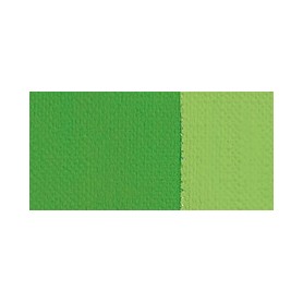 VERDE BRILLA. CLARO 304 GR.1(20ML)TEMPLE