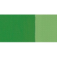 VERDE BRILLA. OSC. 305 GR.1(20ML) TEMPLE