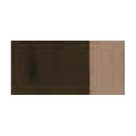 TIERRA SOMBRA NAT. 493 GR.1 (20ML)BARNIZ