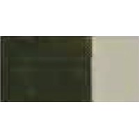 TIERRA VERDE ANTIG. 297 GR.1(20ML)BARNIZ