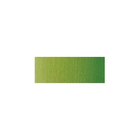VERDE VEJIGA PERMANENTE 503 GR.1 (5ML)