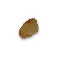 MODOSTUC NOGAL 104 (ENV. 500 GR)