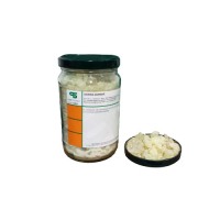GOMA DAMMAR (ENV. 1 KG)