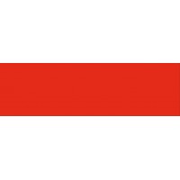 PUREST - ROJO CADMIO MEDIO - GR.3 - BOTE 20 ml - Color de retoque Extrs Puro