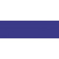 PUREST - AZUL ULTRAMAR - GR.2 - BOTE 20 ml - Color de retoque Extra Puro