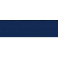 PUREST - AZUL DE PRUSIA - GR.1 - BOTE 20 ml - Color de retoque Extra Puro