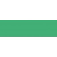 PUREST - VERDE ESMERALDA - GR. 4 - BOTE 20 ml - Color de retoque Extra Puro