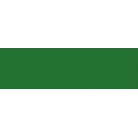 PUREST - VERDE OXIDO DE CROMO - GR.2 - BOTE 20 ml - Color de retoque Extra Puro