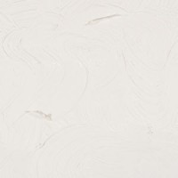 BLANCO TITANIO 810 GR.1 (15ML)