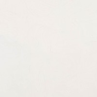 BLANCO INERTE 845 GR.1 (15ML)