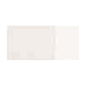 BLANCO TITANIO 018 GR.1 (20ML) TEMPLE