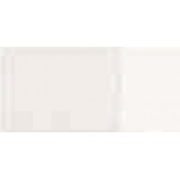 BLANCO TITANIO 018 GR.1 (20ML) TEMPLE