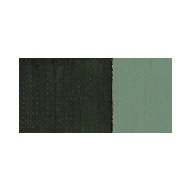 VERDE VEJIGA 358 GR.1 (20ML) TEMPLE