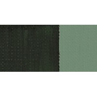 VERDE VEJIGA 358 GR.1 (20ML) TEMPLE