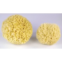 ESPONJA NATURAL PEQUEÑA