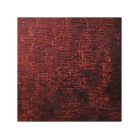 PARDO GARANZA ALIZ. PERM.050 GR.2 (15ML)