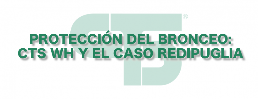 54.1 NUEVOS PRODUCTOS - PROTECCIÓN DEL BRONCEO: CTS WH Y EL CASO REDIPUGLIA