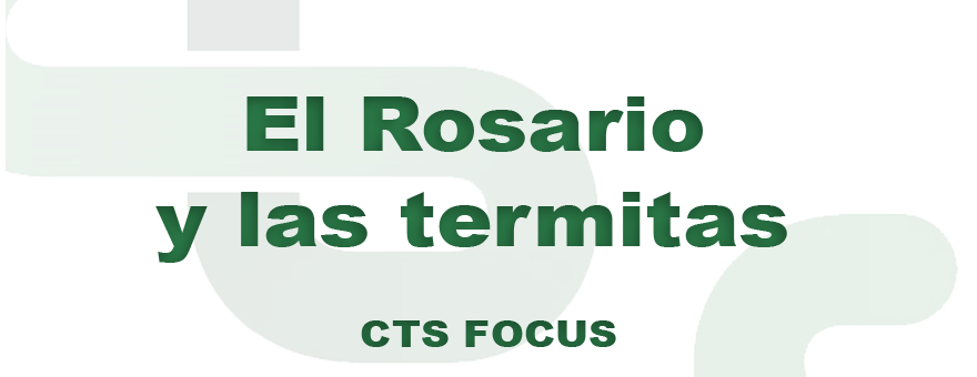  1° CTS FOCUS - El Rosario y las termitas