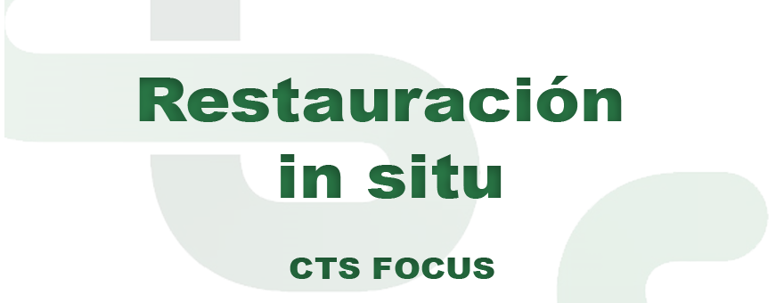 2º CTS FOCUS - Restauración in situ: experimento sobre el uso de un producto de siloxano 