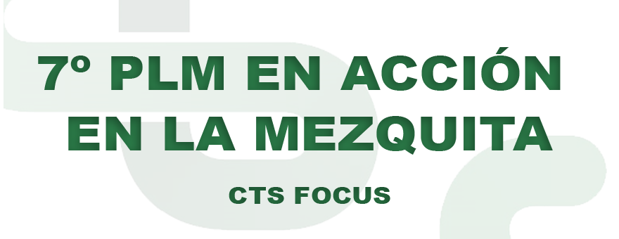 7º PLM EN ACCIÓN EN LA MEZQUITA