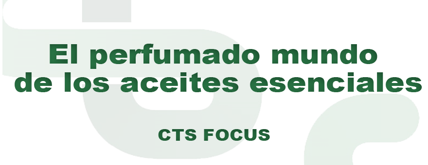 7º EL PERFUMADO MUNDO DE LOS ACEITES ESENCIALES