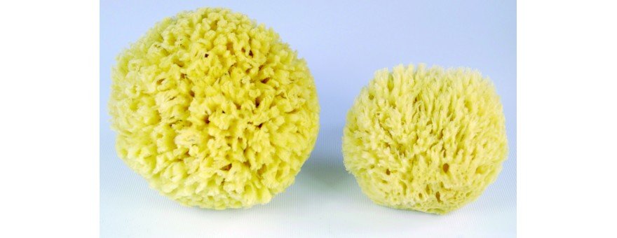 ESPONJA NATURAL